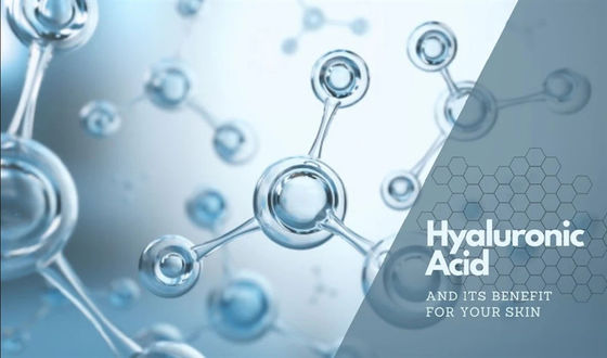 CAS 9004-61-9 Cosmetic Raw Material Lyophilized Hyaluronic Acid Powder