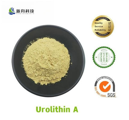 Pomegranate Extract Urolithin A For Anti-Aging CAS 1143-70-0 With Fast Delivery