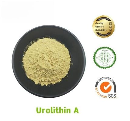 Pomegranate Extract Urolithin A For Anti-Aging CAS 1143-70-0 With Fast Delivery