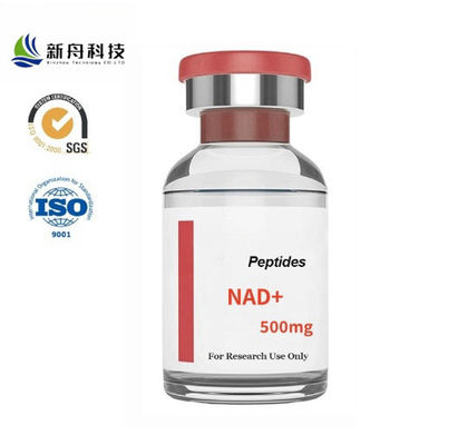 High Purity Supplement Nad Powder CAS 53-84-9 Nicotinamide Adenine Dinucleotide For Anti-Aging
