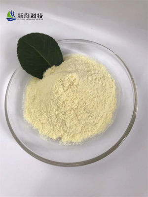 Food Grade Xanthan Gum Powder CAS No 11138-66-2 25 Kg Bagged 80 Mesh