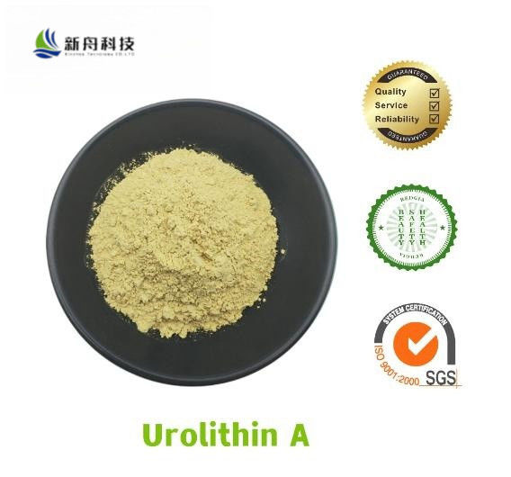 Pomegranate Extract Urolithin A For Anti-Aging CAS 1143-70-0 With Fast Delivery