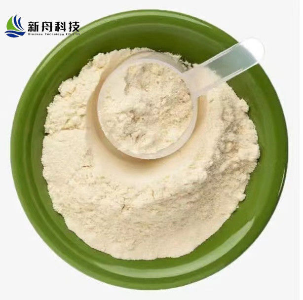 11138-66-2 Food Additives Raw Material 80 Mesh Food Grade Xanthan Gum Protein Powder